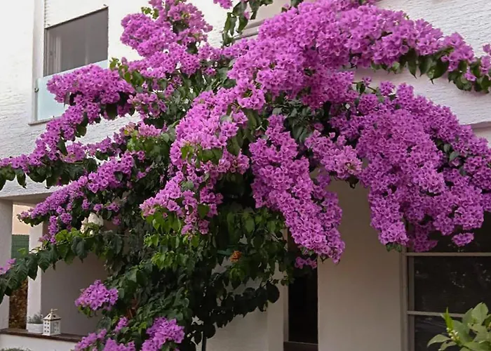 In With Wifi Appartement *