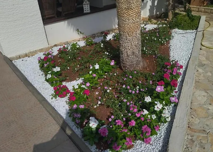 In With Wifi Pirovac